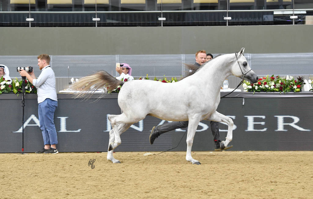 Colts 2 Years: Aali Farid