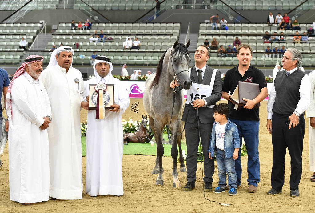 Colts 2 Years: Radad Al Shaqab