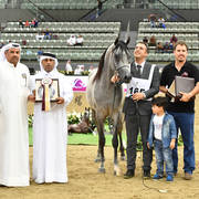 Colts 2 Years: Radad Al Shaqab