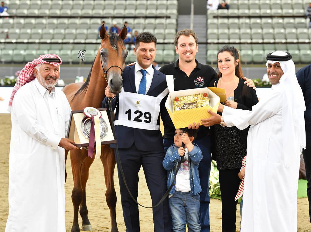 Yearling Colt: Theeb Al Shaqab and Happy Birthday Alessio!