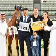 Yearling Colt: Theeb Al Shaqab and Happy Birthday Alessio!