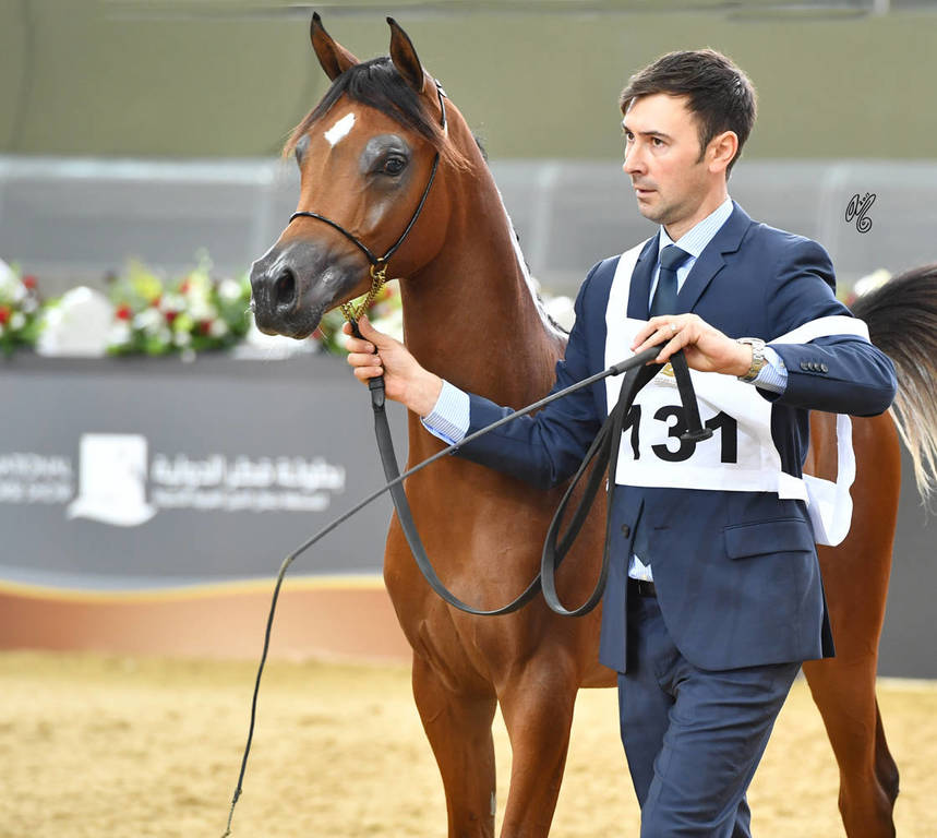 Fillies 3 Years: D Thara