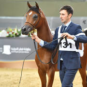 Fillies 3 Years: D Thara