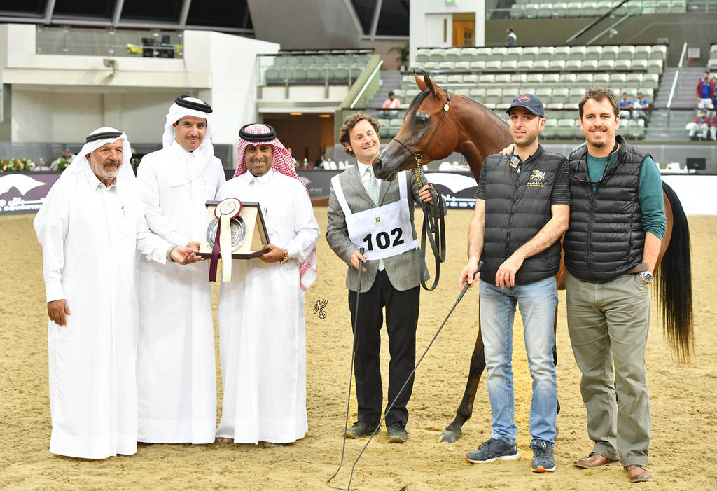Fillies 3 Years: Wahat Al Shaqab
