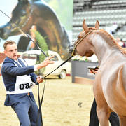 Fillies 2 Years: Bazghah Athbah