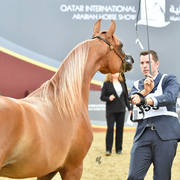 Fillies 2 Years: Lolwah Al Sawary