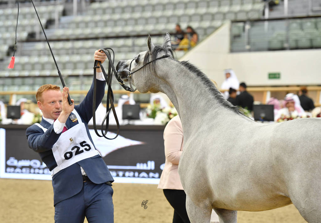 Yearling Filly: Jazla Al Adwan