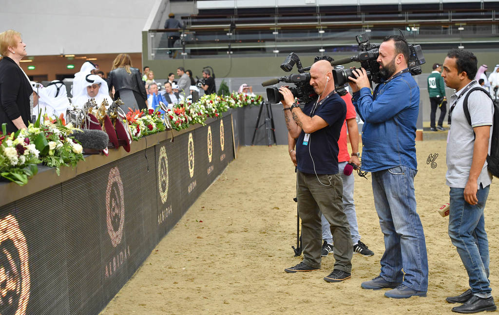 Lisa Abraham: The 2017 Qatar International Arabian Horse Show Gallery