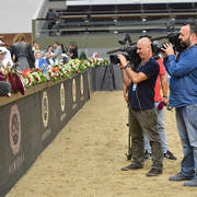 Lisa Abraham: The 2017 Qatar International Arabian Horse Show Gallery