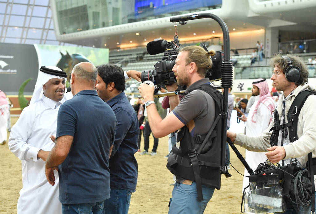 Lisa Abraham: The 2017 Qatar International Arabian Horse Show Gallery