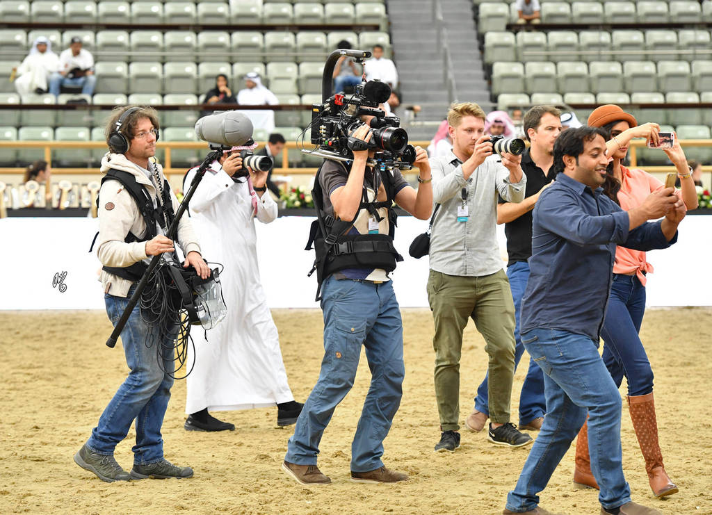 Lisa Abraham: The 2017 Qatar International Arabian Horse Show Gallery