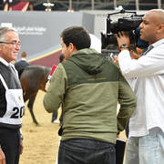 Lisa Abraham: The 2017 Qatar International Arabian Horse Show Gallery