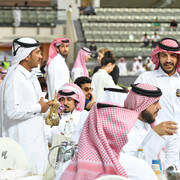Lisa Abraham: The 2017 Qatar International Arabian Horse Show Gallery