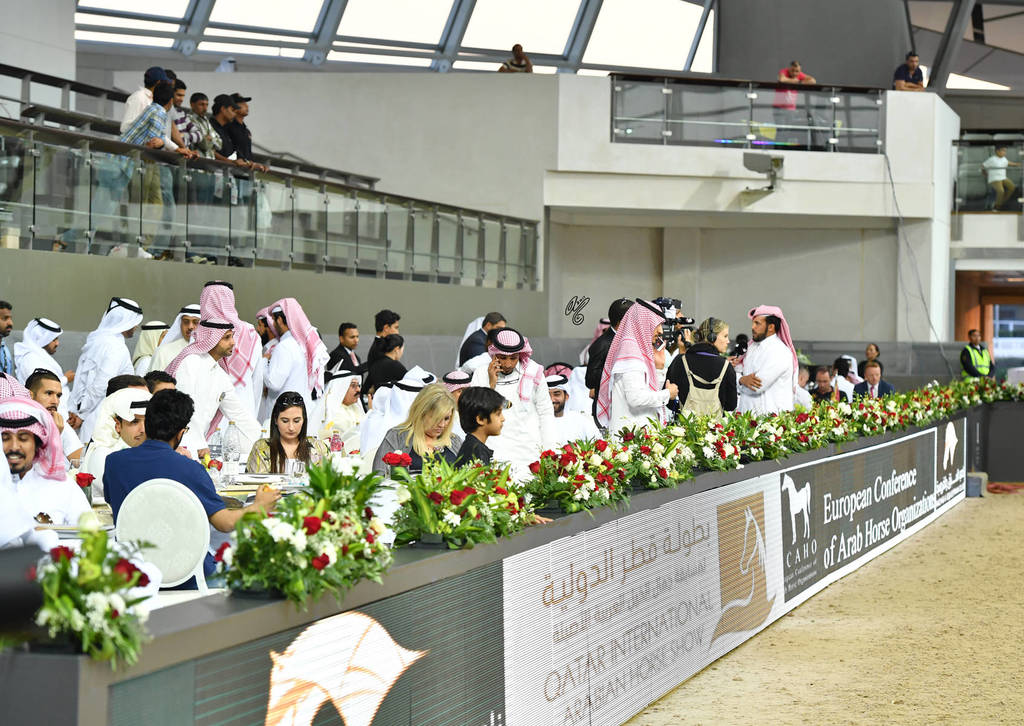 Lisa Abraham: The 2017 Qatar International Arabian Horse Show Gallery