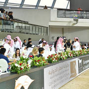 Lisa Abraham: The 2017 Qatar International Arabian Horse Show Gallery