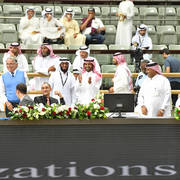 Lisa Abraham: The 2017 Qatar International Arabian Horse Show Gallery