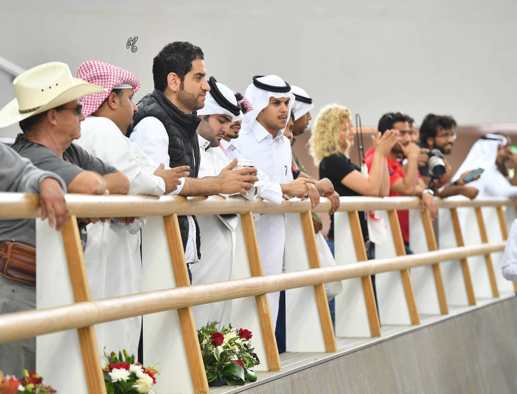 Lisa Abraham: The 2017 Qatar International Arabian Horse Show Gallery