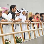 Lisa Abraham: The 2017 Qatar International Arabian Horse Show Gallery