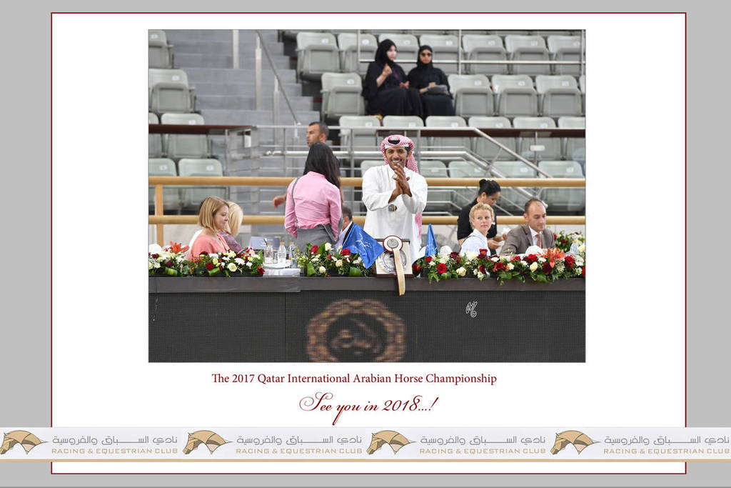 Lisa Abraham: The 2017 Qatar International Arabian Horse Show Gallery