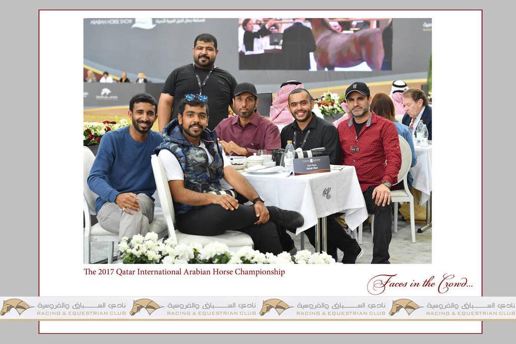 Lisa Abraham: The 2017 Qatar International Arabian Horse Show Gallery