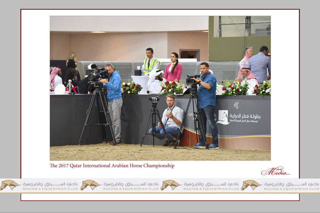 Lisa Abraham: The 2017 Qatar International Arabian Horse Show Gallery