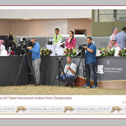 Lisa Abraham: The 2017 Qatar International Arabian Horse Show Gallery