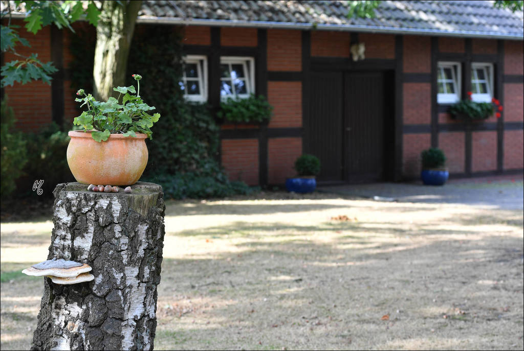 Lisa Abraham: A Conversation Between Friends: Dr. Hans J. Nagel and Judith Forbis