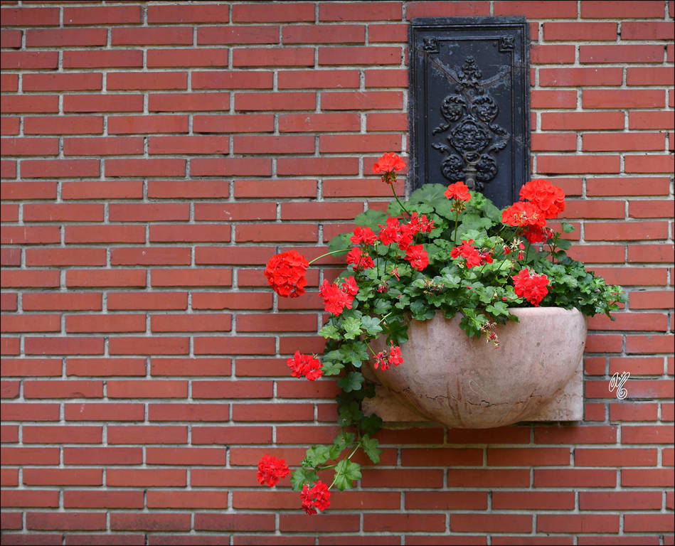 Lisa Abraham: A Conversation Between Friends: Dr. Hans J. Nagel and Judith Forbis