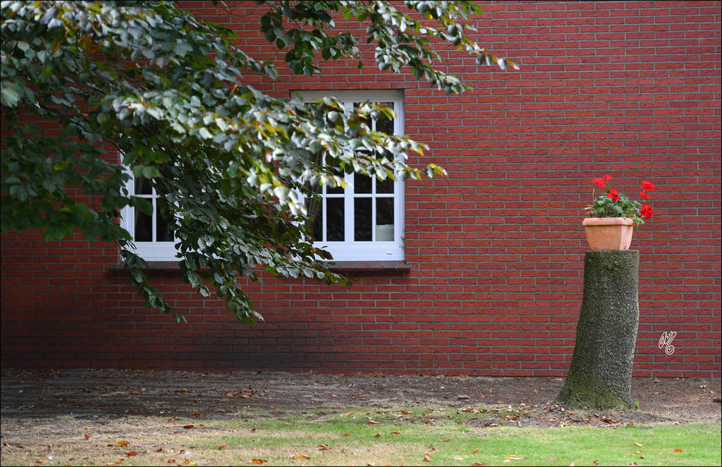 Lisa Abraham: A Conversation Between Friends: Dr. Hans J. Nagel and Judith Forbis