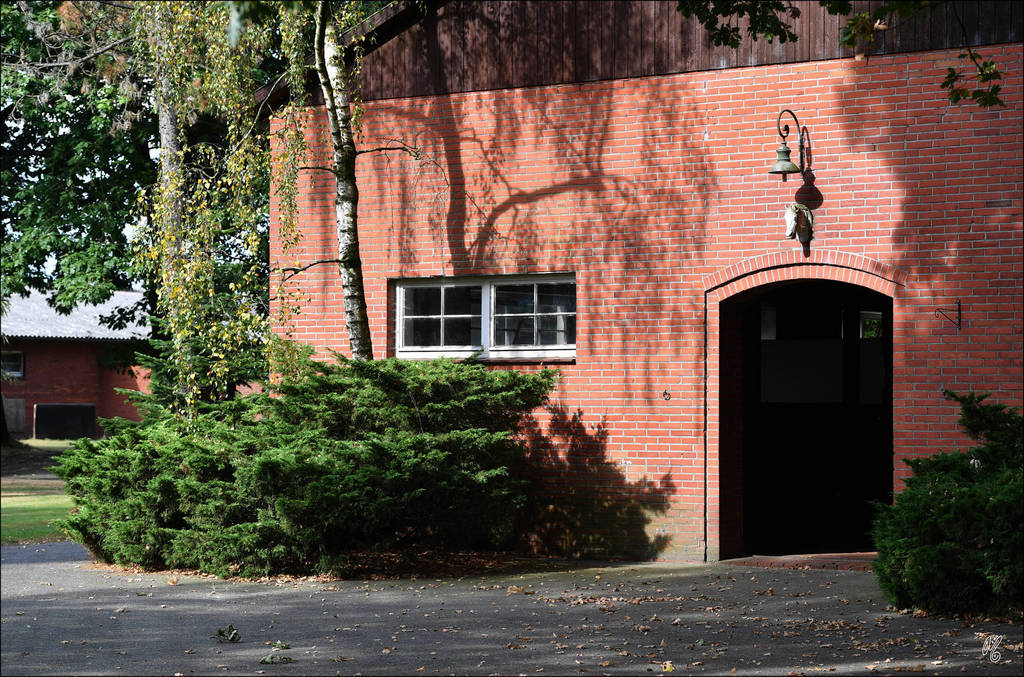 Lisa Abraham: A Conversation Between Friends: Dr. Hans J. Nagel and Judith Forbis