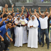 Colt: Gold and Silver Champions by Al Shaqab