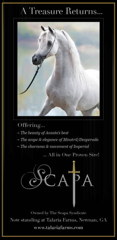 A Treasure Returns…