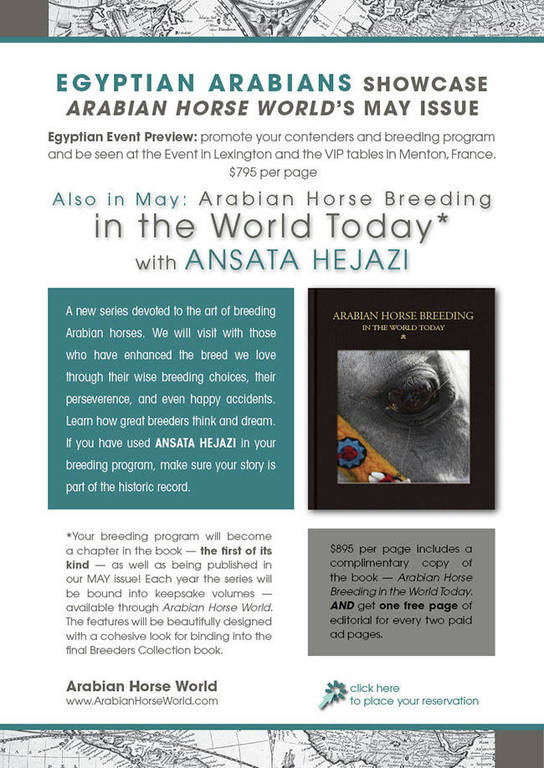 Last Chance Egyptian Arabians Showcase: May AHW
