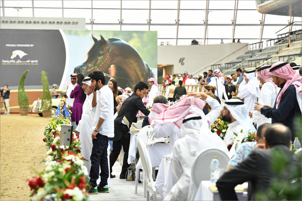 The 2017 Qatar International Arabian Horse Show