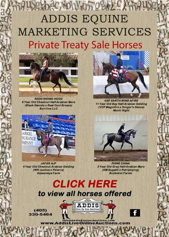 Addis Monday Private Treaty Offering