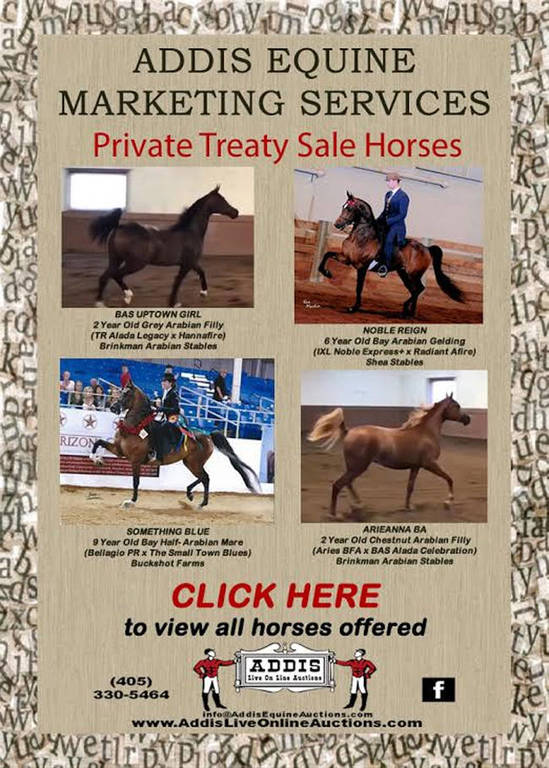 Addis Monday Private Treaty Offering