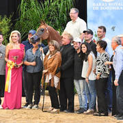 Senior Stallion Silver Champion: LD Pistol (Magnum Psyche X Halana)