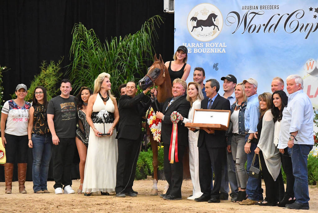 Senior Stallion Silver Champion: LD Pistol (Magnum Psyche X Halana)