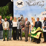 Senior Mare Gold Champion: Ghazala Al Shahania (Marwan Al Shaqab X Majalina) 