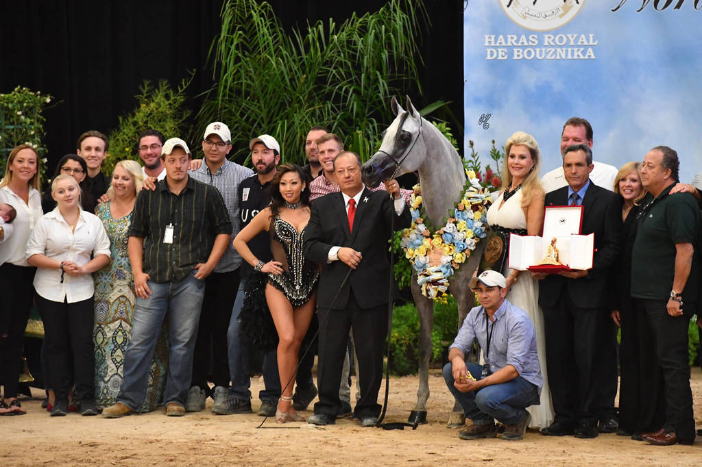 Senior Mare Bronze Champion: FT Havanna El Keav (HK Keav Power X Hillary VCM)