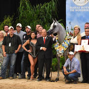 Senior Mare Bronze Champion: FT Havanna El Keav (HK Keav Power X Hillary VCM)