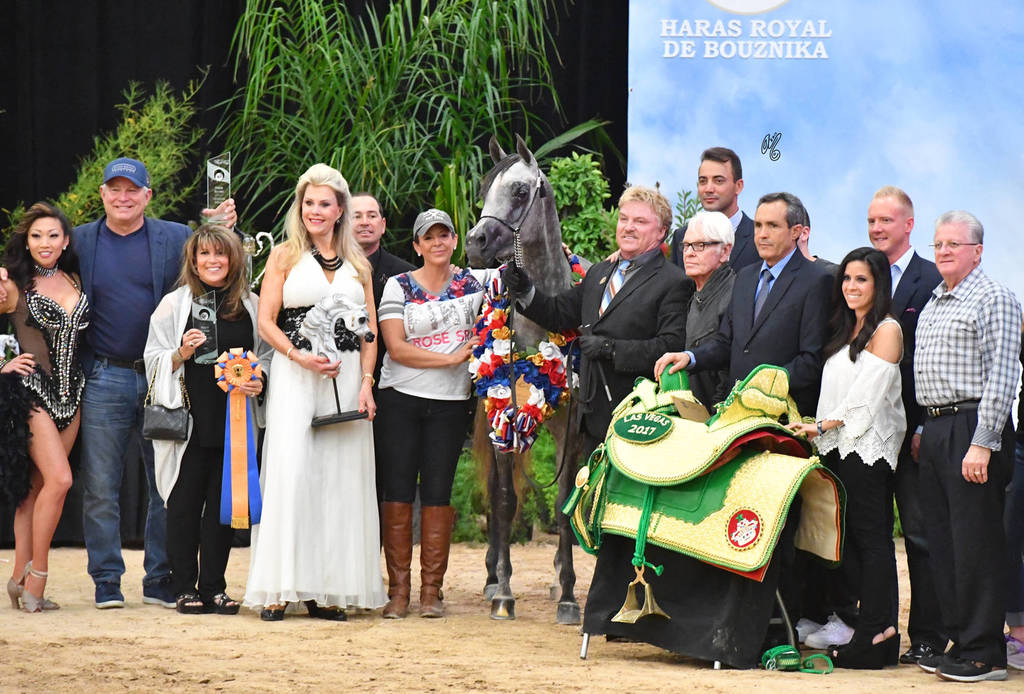 Junior Mare Gold Champion: Fanaticaa (Al Raheb AA X Faleenah El Masr)