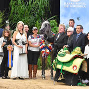 Junior Mare Gold Champion: Fanaticaa (Al Raheb AA X Faleenah El Masr)