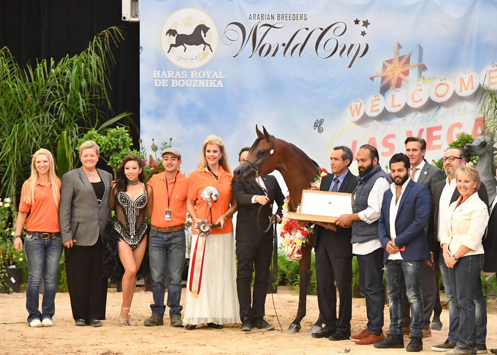 Junior Mare Silver Champion: Juhaina Aljassimya (WH Justice X Toscana PGA) 