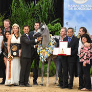 Junior Mare Bronze Champion: Diyannaa (ZT Marwteyn X Diya Forx) 