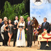 Yearling Colt Gold Champion: Enzino PCF (Enzo X Maria PCF) 