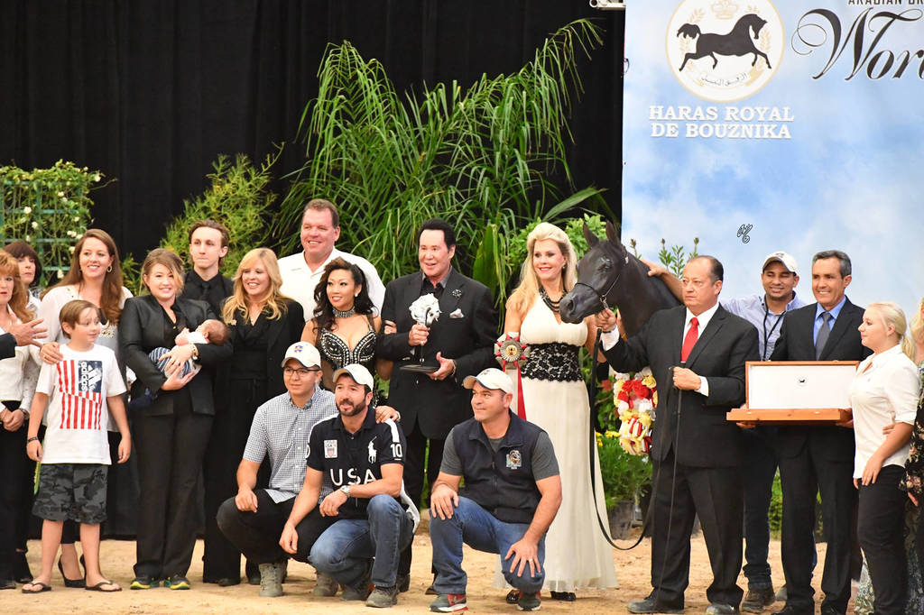 Yearling Colt Silver Champion: Lucius GA (JJ Bellagio X Duchess of Marwan)