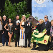 Yearling Filly Gold Champion: Om El Erodite (EKS Alihandro X Om El Excella) 