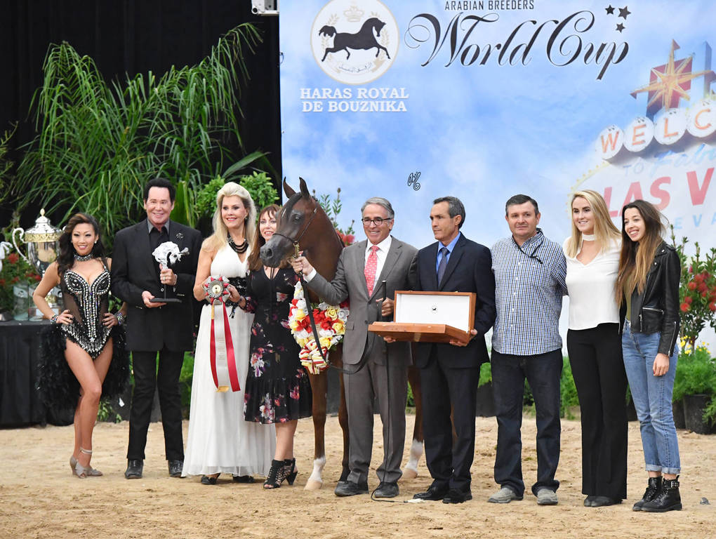 Yearling Filly Silver Champion: Kareemah Albidayer (Kanz Al Bidayer X Khaleifa)  