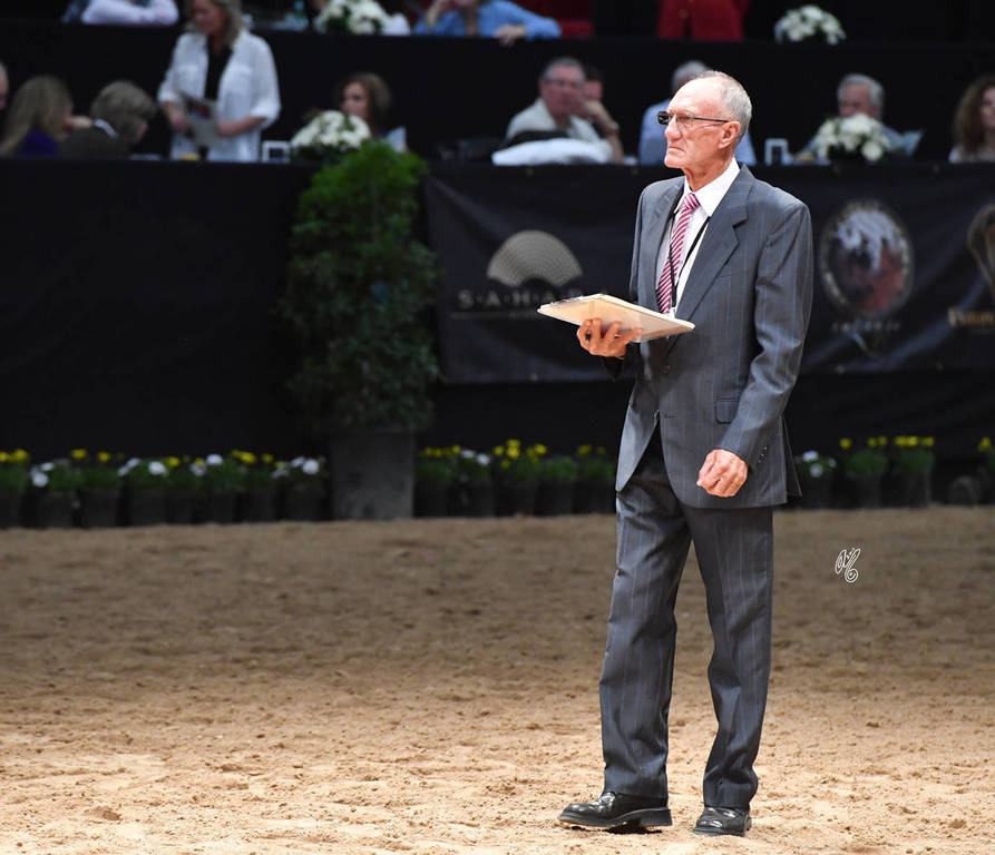    Lisa Abraham: The 2017 Arabian Breeders World Cup Photo Gallery: VEGAS!